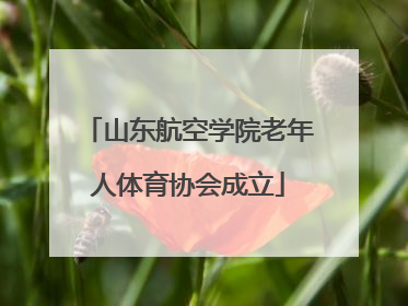 山东航空学院老年人体育协会成立